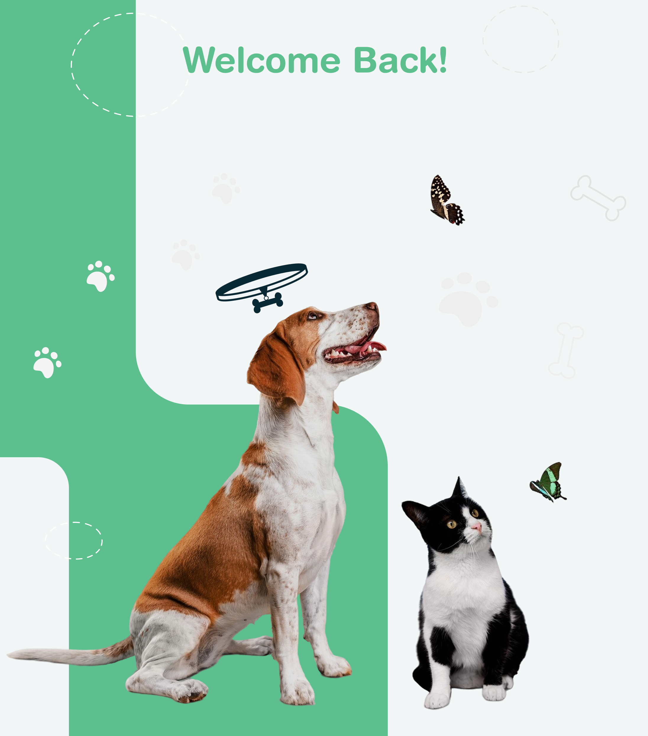 Pets